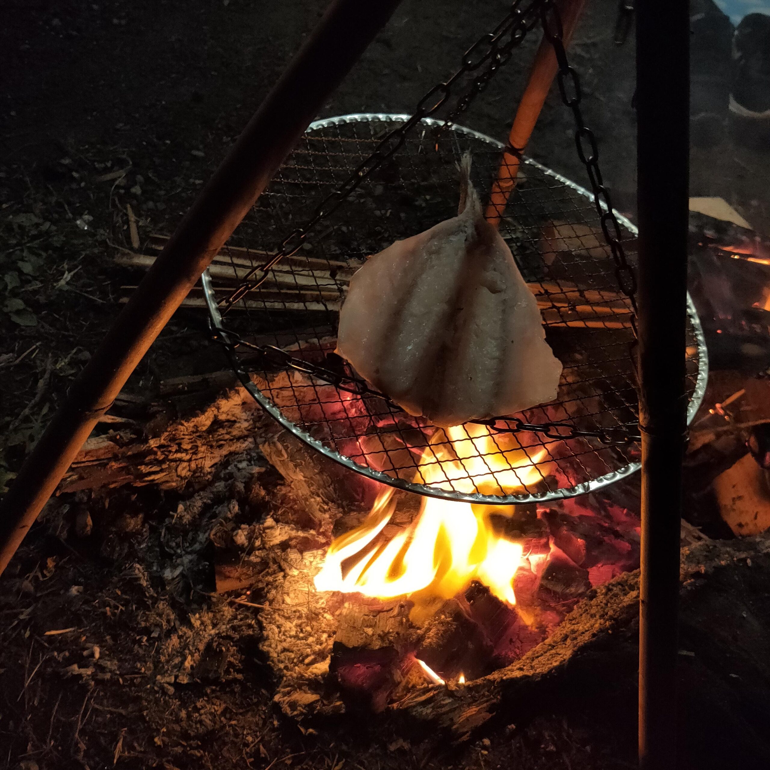 焚き火で焼き干物